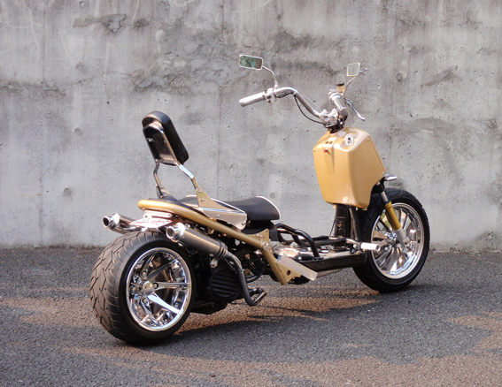 zoomer Ruckus custom  ޡ 5