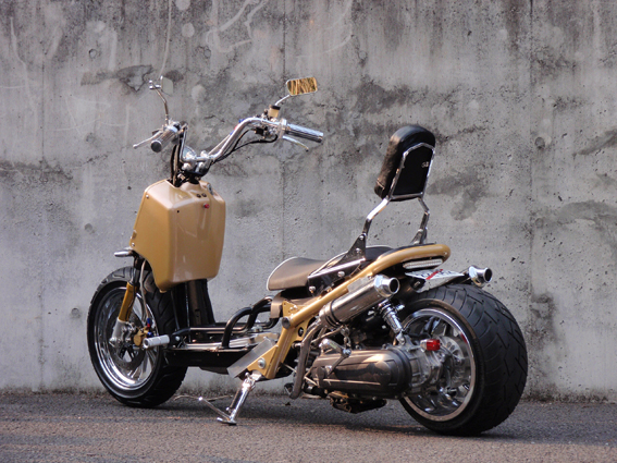 zoomer Ruckus custom  ޡ 6