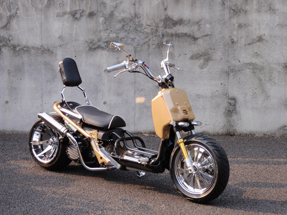 zoomer Ruckus custom  ޡ 6