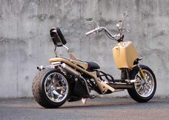 zoomer Ruckus custom  ޡ 2